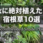 【シェードガーデン】秋に絶対植えたい超オススメ宿根草10選+そのほか一挙ご紹介24種🌿Recommended Shede Plants
