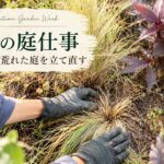 【秋の庭仕事】長雨で荒れた庭を立て直す｜落ち葉捨てないで！2週間で使える腐葉土作り・宿根草のお手入れ