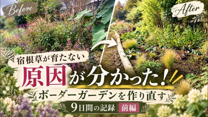 【庭の大改造】宿根草が育たない原因は土の下に！9日間かけてボーダーガーデンを作り直し！｜土壌改良・盛り土・植え替え｜前編