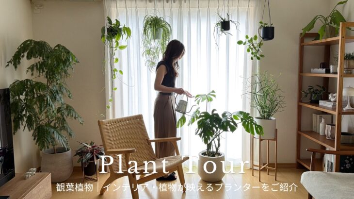 【Plant Tour】インテリアが映える観葉植物・プランターのご紹介