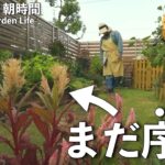 庭を可愛くしたい！植欲に飢えた園芸好きが、閉店間際の園芸店に駆け込むと…｜秋の寄せ植え｜小さな庭のガーデニング