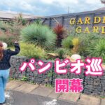 【ガーデンガーデン仙台】パンビオ巡り開幕！かわいいが止まらない💓