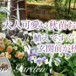 【ガーデニング】植えてすぐ楽しめる秋苗お迎え／玄関前を秋らしくスッキリ／我が家に来た素敵なお客様🦋／